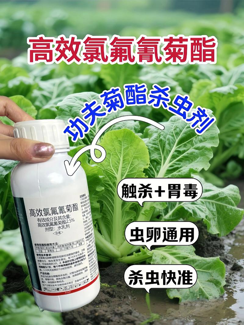 阿里代生中心:农药对供卵代生妈妈的危害